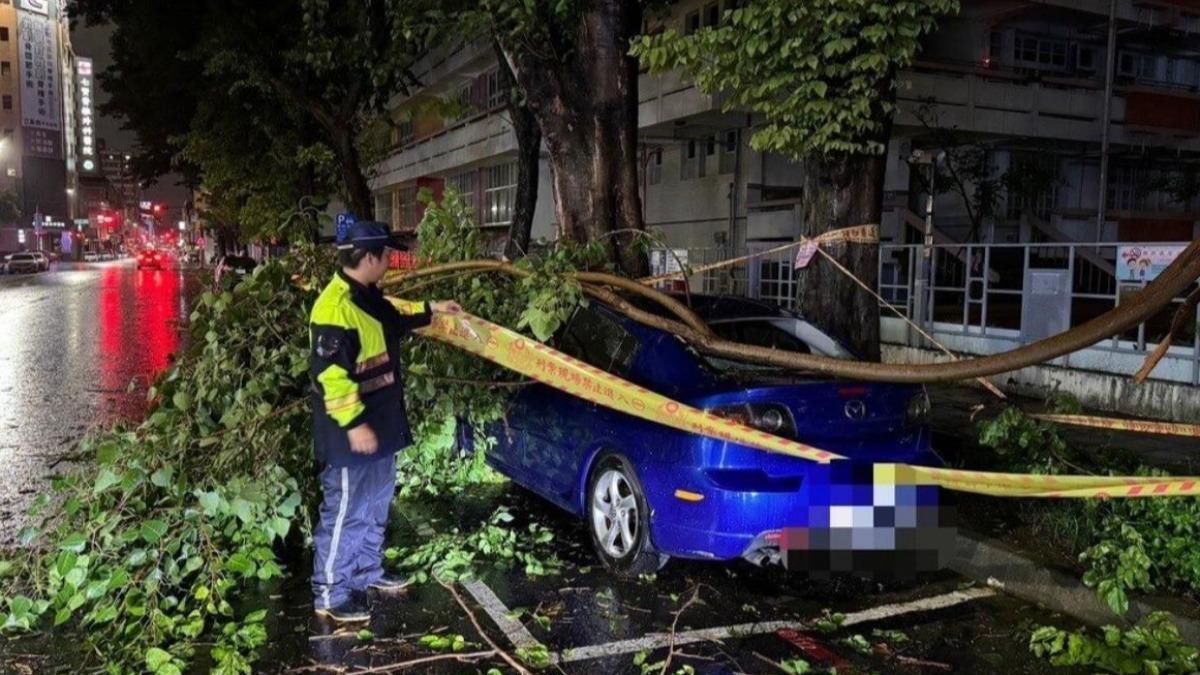 高雄新興區發生路樹倒塌,剛好砸中路邊停車格內自小客車,所幸無人受傷。(圖/高雄市新興警分局提供)