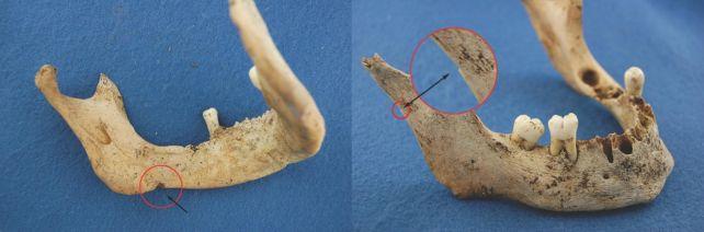 詹姆斯下顎骨上有明顯的切割痕跡。(圖/翻攝自Journal of Archaeological Science)
