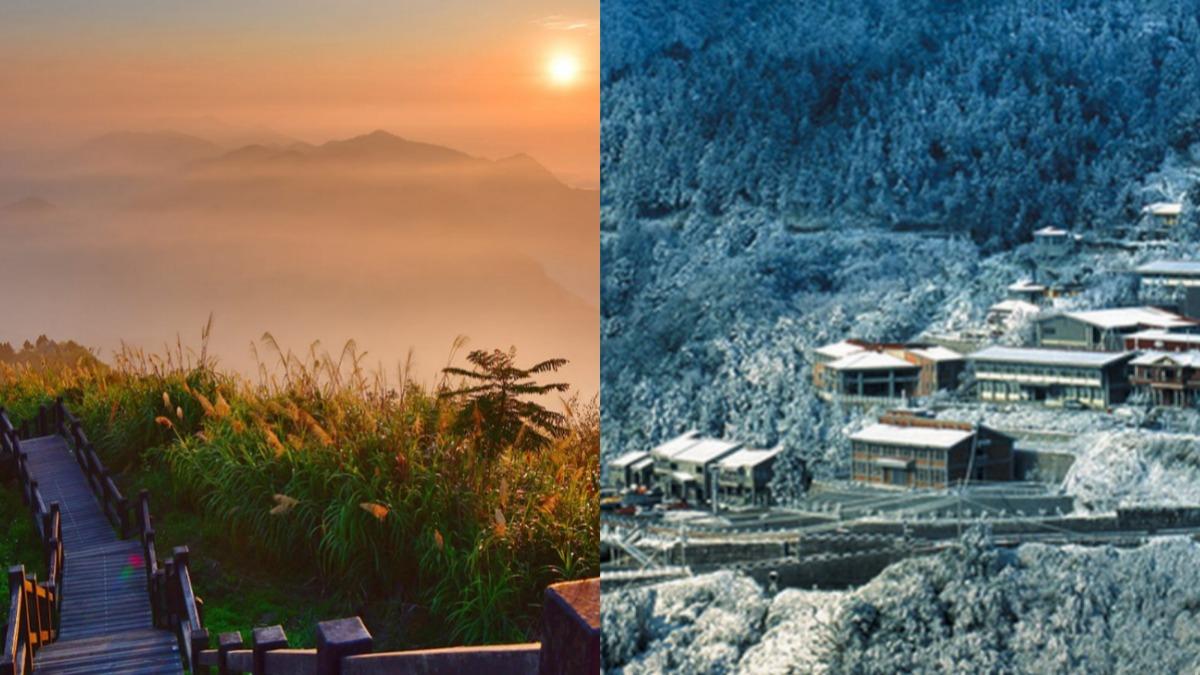 「森林浴」健康又療癒！旅遊首選　絕美森林遊樂區排行一次看