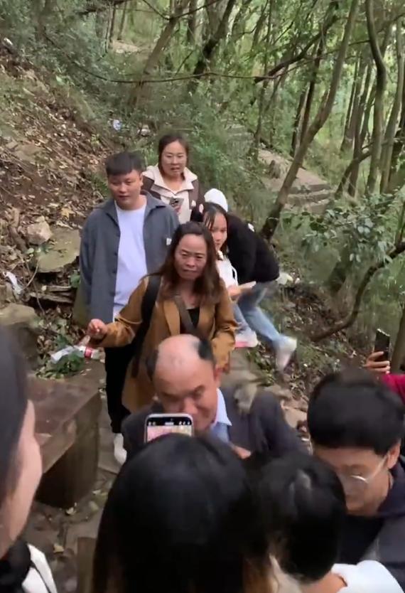 男子的假髮被猴子拔下來。(圖/翻攝自微博)