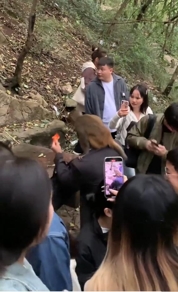 男子試圖以食物引誘猴子。(圖/翻攝自微博)
