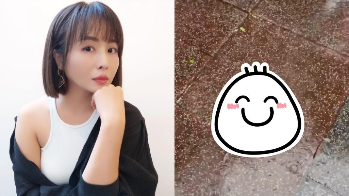 山陀兒過境!本土女星曝高雄慘況 撿到「1物」嚇壞:來報恩的