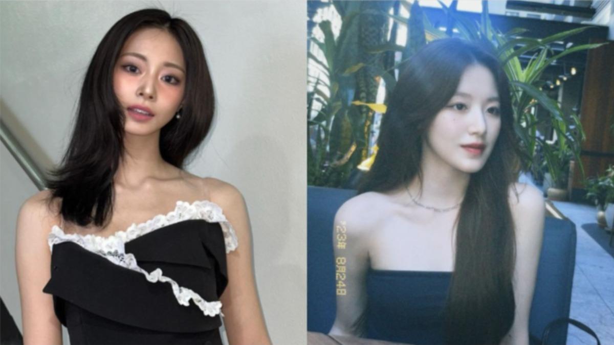 台籍藝人進軍韓國!不只周子瑜、葉舒華 發光發亮的還有他們