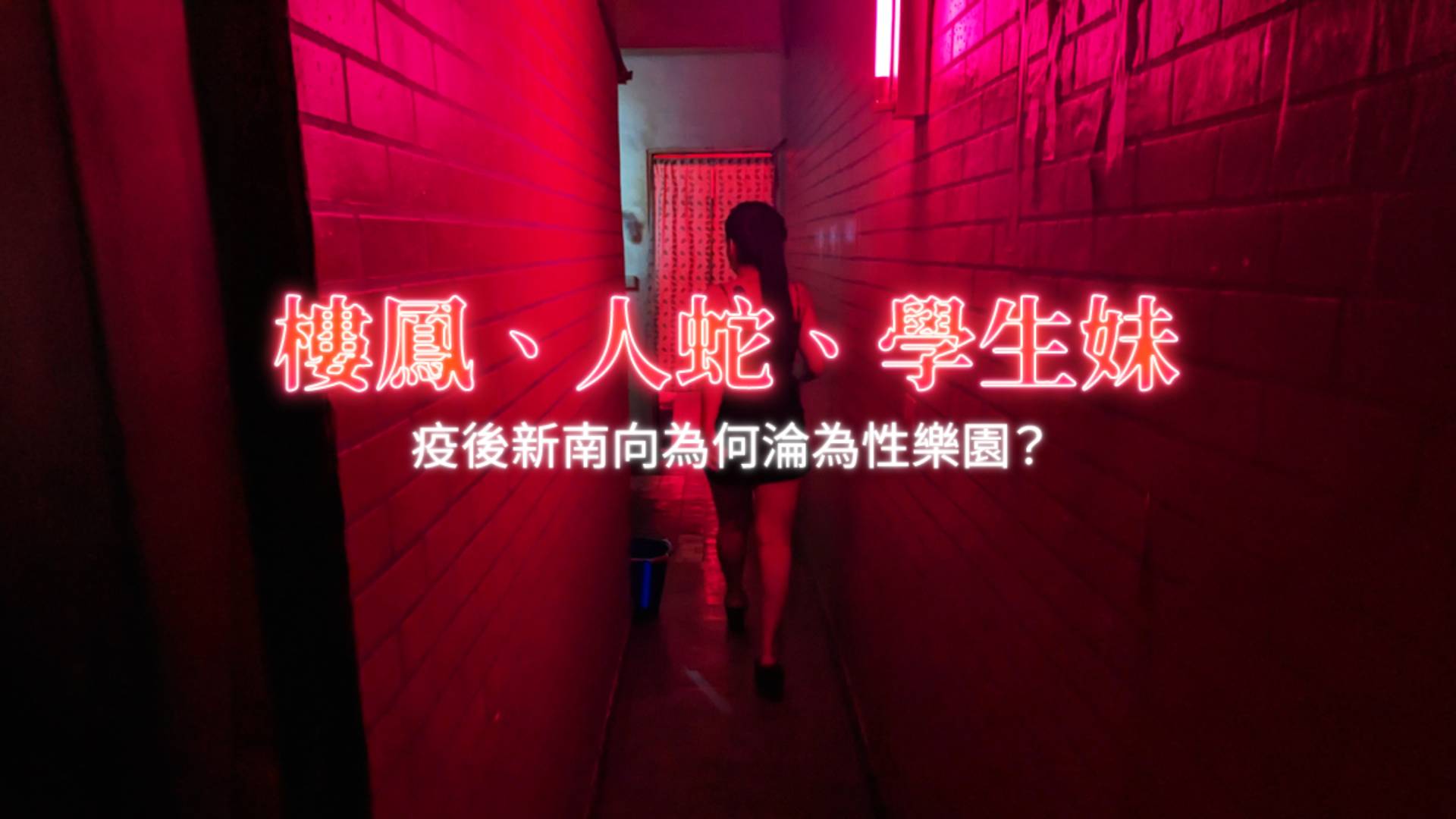 揭密樓鳳機房數據 疫後新南向淪性剝削樂園