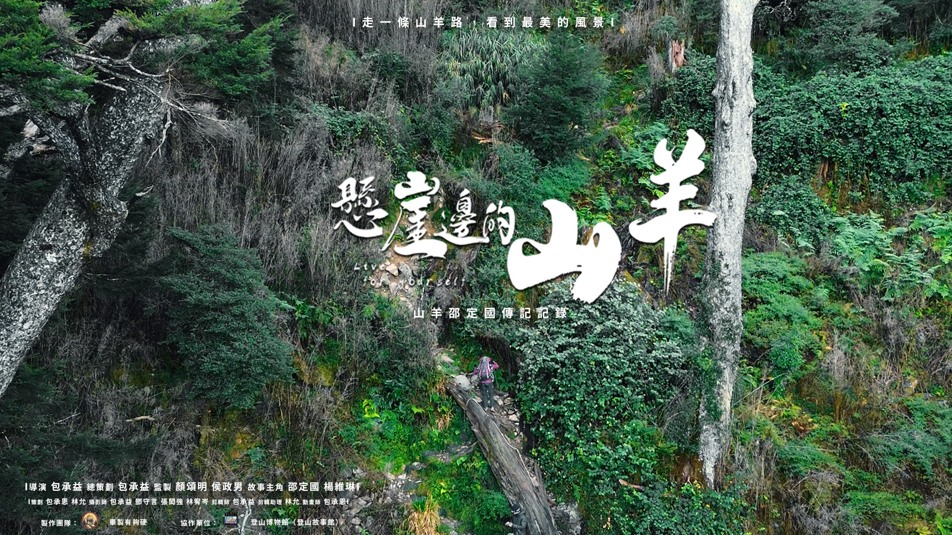 懸崖邊的山羊