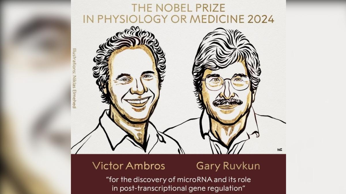 本屆生醫諾貝爾獎得主。（翻攝自 YT Nobel Prize）