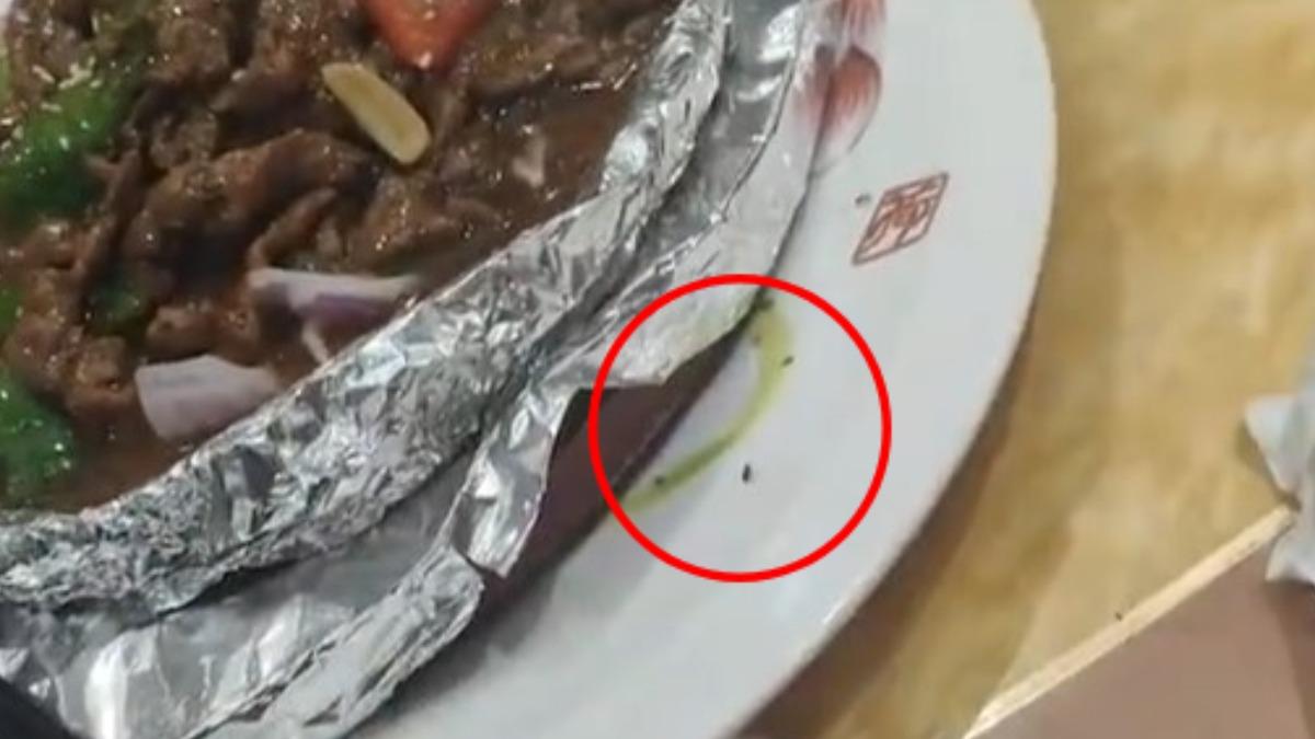 鐵板牛肉藏20隻蟑螂!上桌全竄出 陸客傻目睹「整盤爬滿」