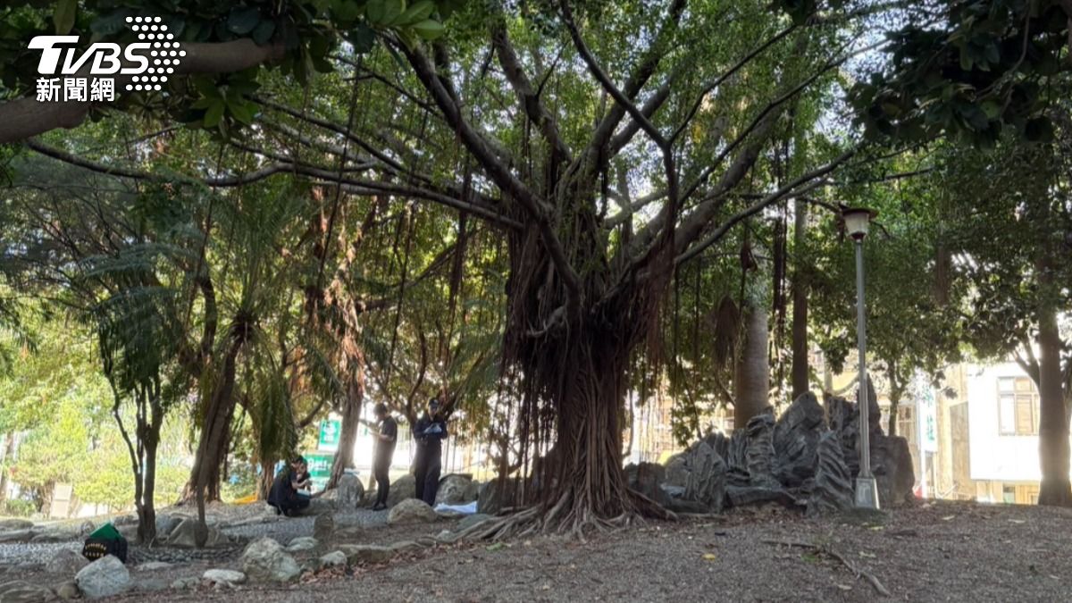 快訊/台中男赤腳陳屍公園榕樹 晨運民眾嚇壞急閃