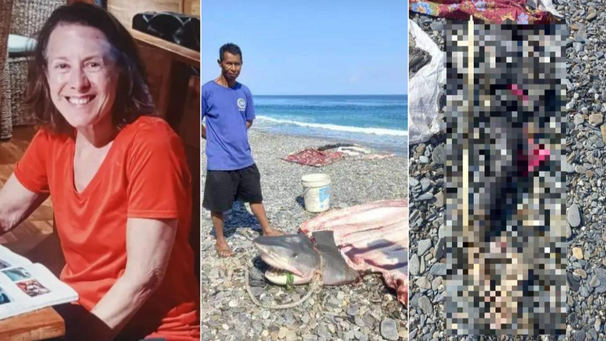 美6旬婦印尼潛水失蹤11天 在鯊魚肚中發現她整條腿