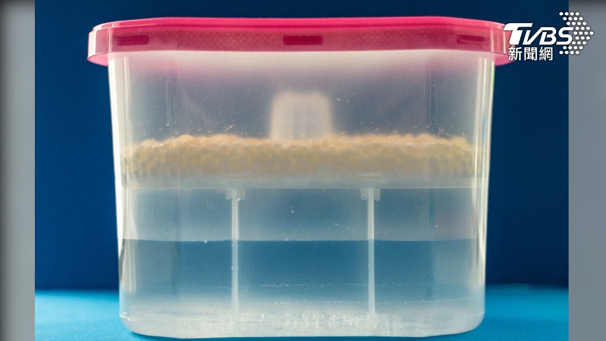除濕盒積存的水,含有氯化鈣成分,相當危險。(圖/達志影像Shutterstock)