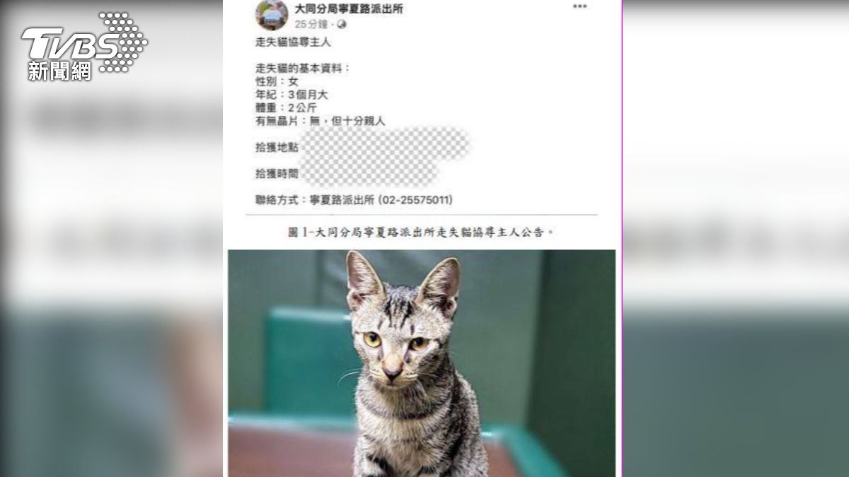 警方分享貓咪走失訊息。（圖／TVBS）