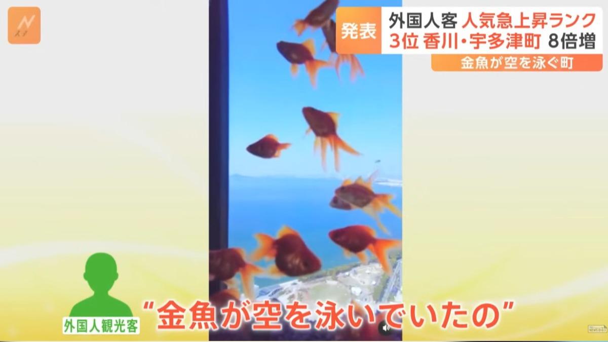水槽設施裡的金魚彷彿在空中遨遊。（圖／翻攝自 YouTube  TBS NEWS DIG Powered by JNN）