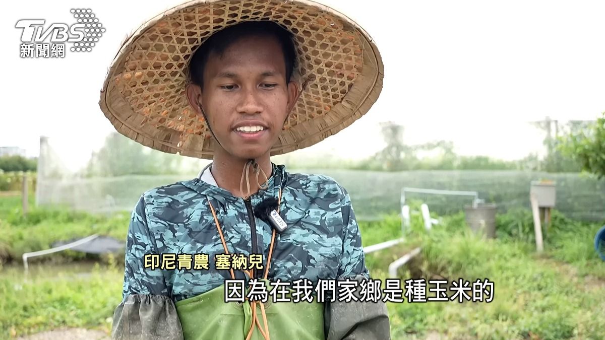 農田缺水一眼透視!仿生灌溉+無人機+衛星遙測 台新創赴印尼找商機