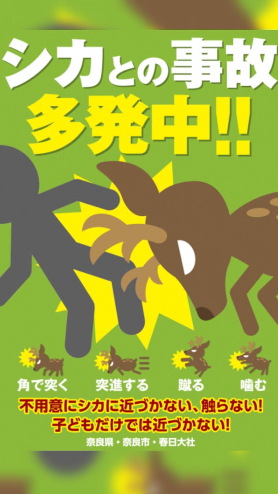 奈良鹿導致遊客受傷的事件頻傳。(圖/翻攝自X@nara_aigokai)