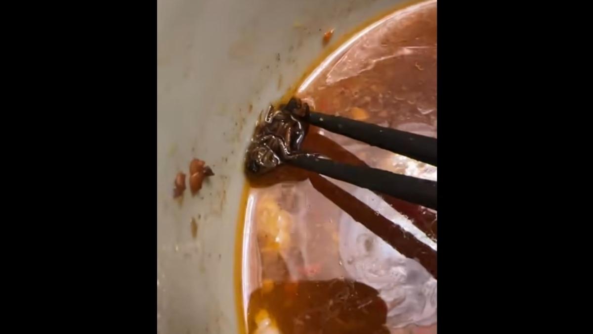 噁爆!買肉羹麵見「超大油蔥酥」 他仔細看超崩潰:人生最懼怕