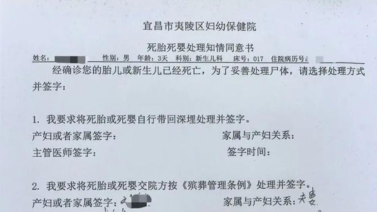 處了這張死胎死嬰處理知情通知書劉先生家沒有收到其他書面資料。(圖/翻攝自澎湃新聞新黃河)