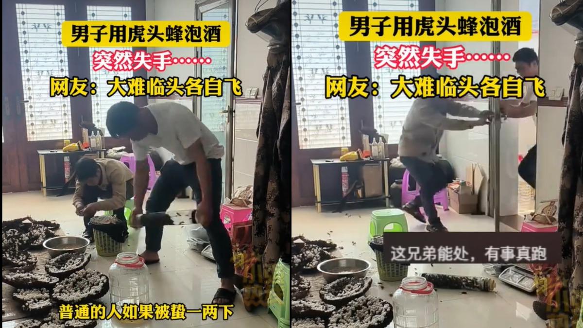 虎頭蜂泡藥酒手滑 兩百隻虎頭蜂瞬間炸出陸男棄友逃生