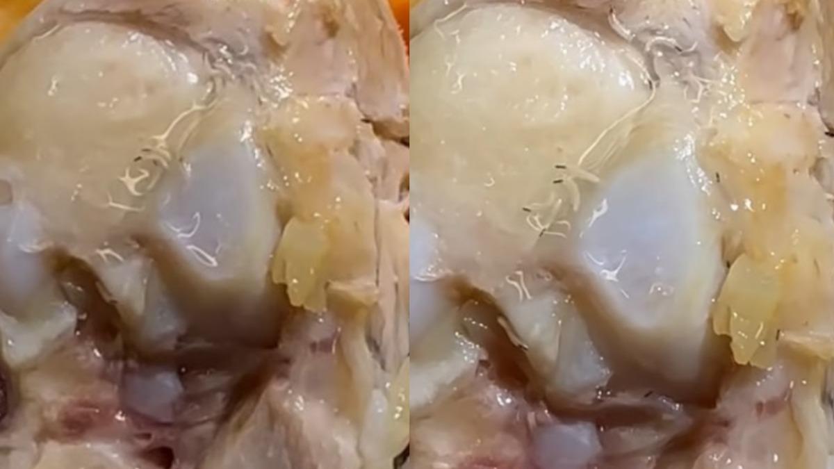 超噁畫面曝!台中男雞腿「黑蟲竄動」 店家1理由打臉喊告