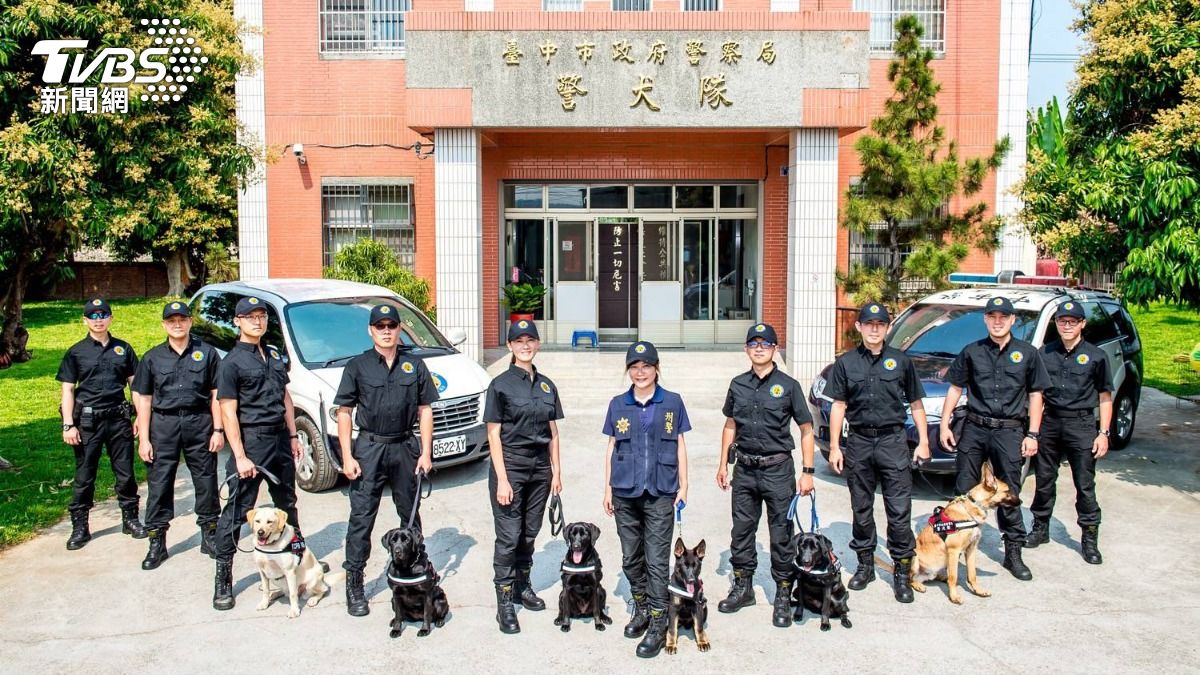 警犬協助各式案件的偵破。（圖／TVBS）