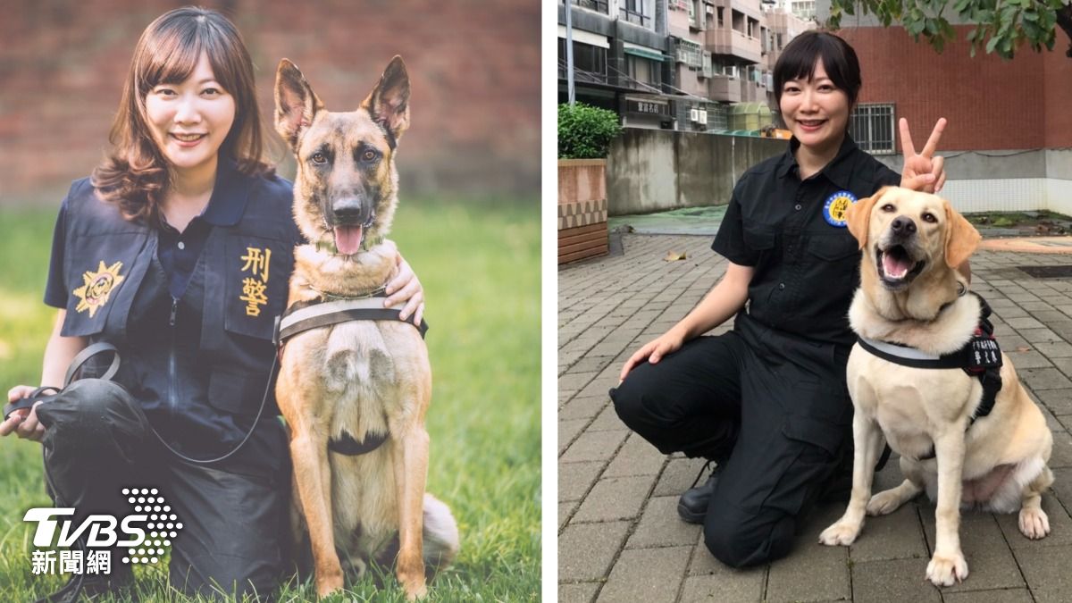 台中元老警犬榮退!首任正妹隊長不捨 感性曝:每隻都是孩子