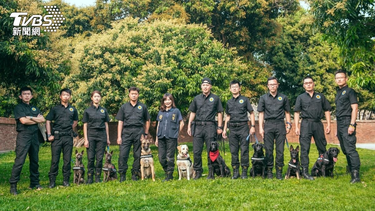 台中警犬隊是全台第2支警犬隊。（圖／TVBS）