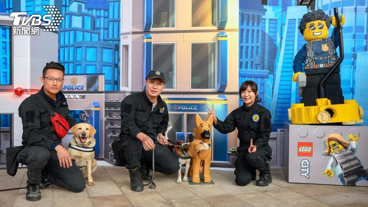 4隻元老警犬將退役。（圖／TVBS）