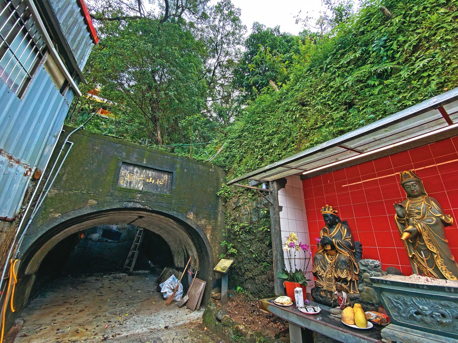 學霸網紅偷吃人夫!台大教授父管不住 家族曾擁「煤礦場」富可敵國