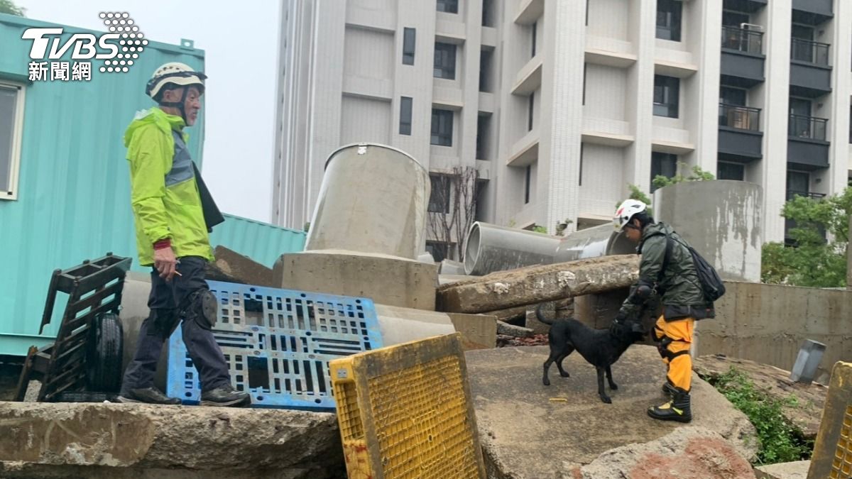 搜救犬通過IRO國際認證。（圖／TVBS）