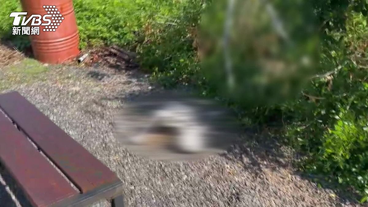 探訪網美景點不成!遊客路邊目擊「完整人骨」 嚇到飆髒話