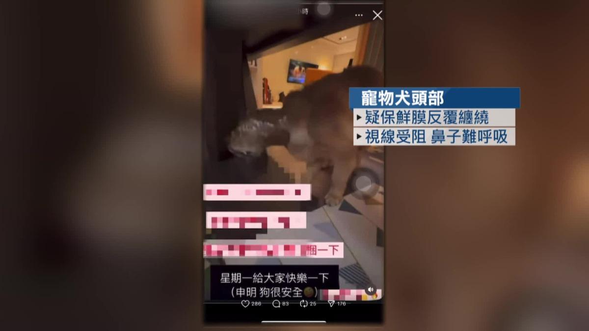 圖/翻攝自 當事人IG/爆料公社