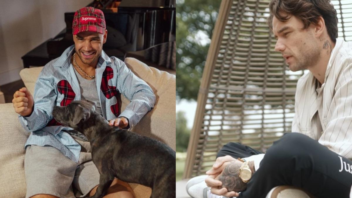 「One Direction」連恩佩恩猝逝!突傳墜樓噩耗 享年31歲