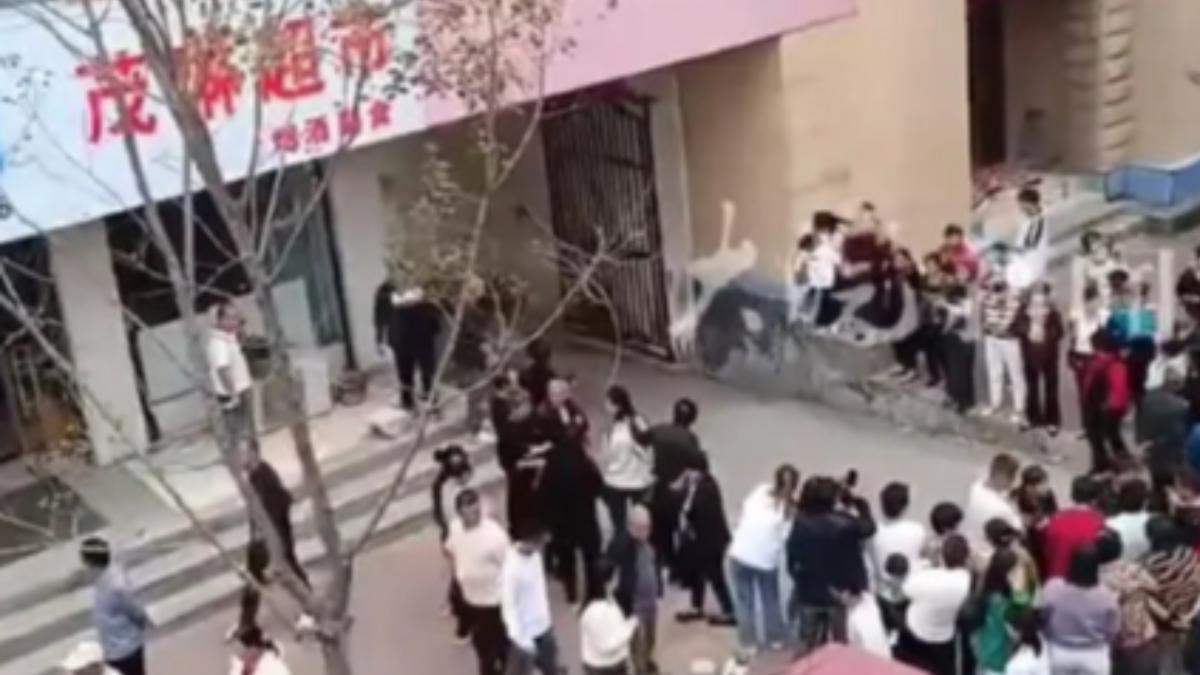 事發路邊已拉起封鎖線。(圖/翻攝自微博)