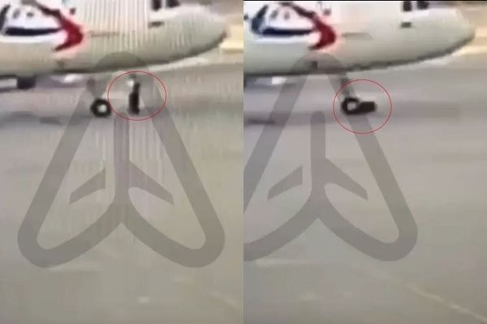 地勤遭空巴A320輾過 驚悚影片曝!他幸運存活樂觀面對截肢