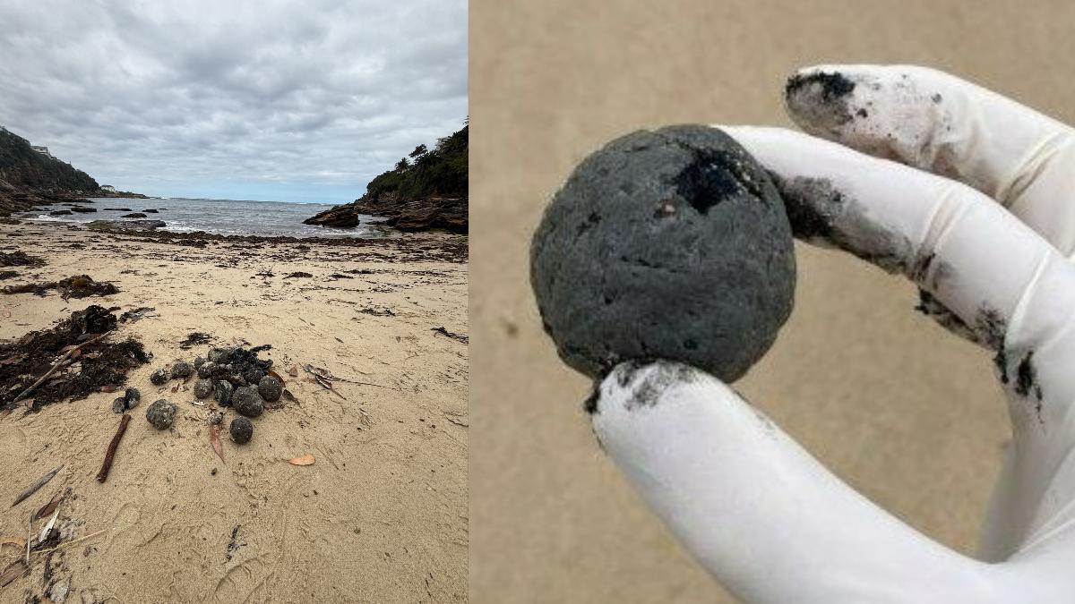 雪梨海邊驚現「上千顆黑球」!當局示警千萬別碰 7處急封閉