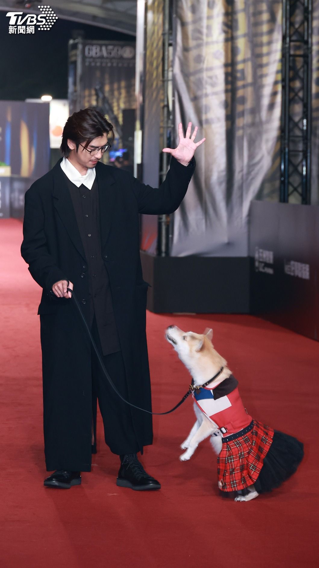 陳柏霖愛犬Afuri入選3美。(圖/黃城碩攝)