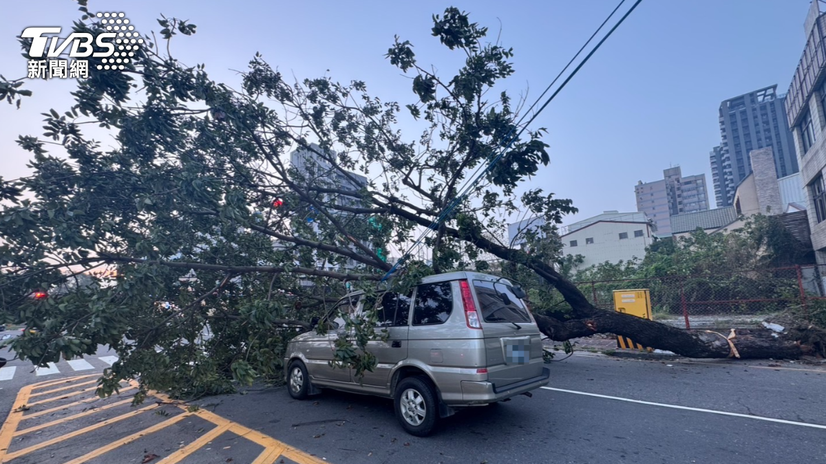 快訊/高雄無風無雨!路樹卻「連根拔起」重砸休旅車 驚悚畫面曝