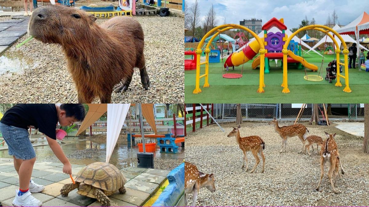 免費餵動物、玩遊樂設施!嘉義全新高CP值「萌寵親子農場」開放