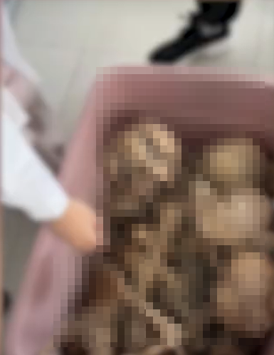大體老師頭骨全被放在同一箱子。(圖/翻攝自微博)