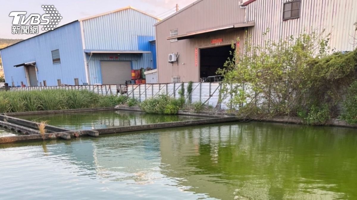 台中男離奇墜魚池！沒心跳民眾急幫CPR　搶救1小時不治