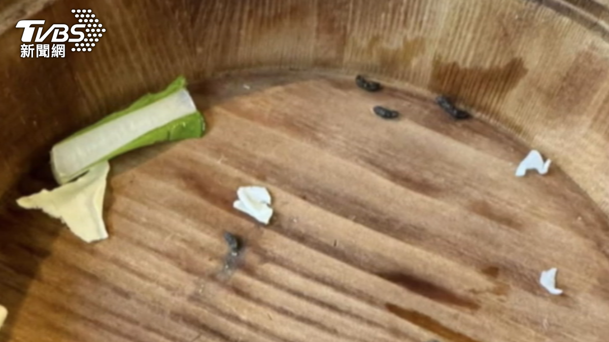 知名火鍋店「菜盤疑有老鼠屎」!疾管署示警:恐傳染5疾病