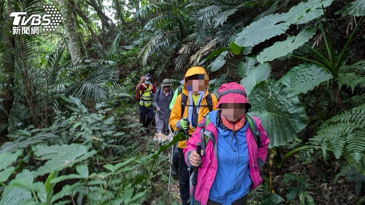 縱走驚魂記!9人登山團糟恐怖虎頭蜂攻擊 5人蜂蟄急送醫