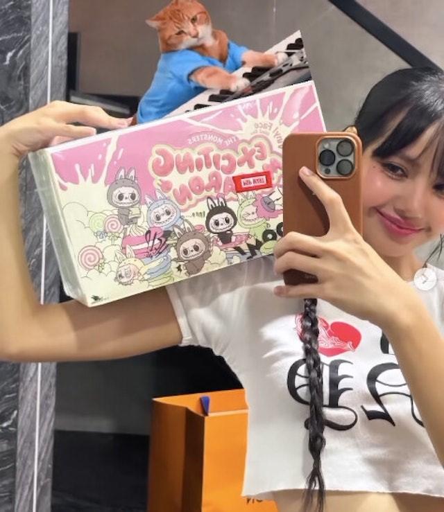BLACKPINK LISA有無數LABUBU珍藏。（圖／翻攝自IG@lalalalisa_m）