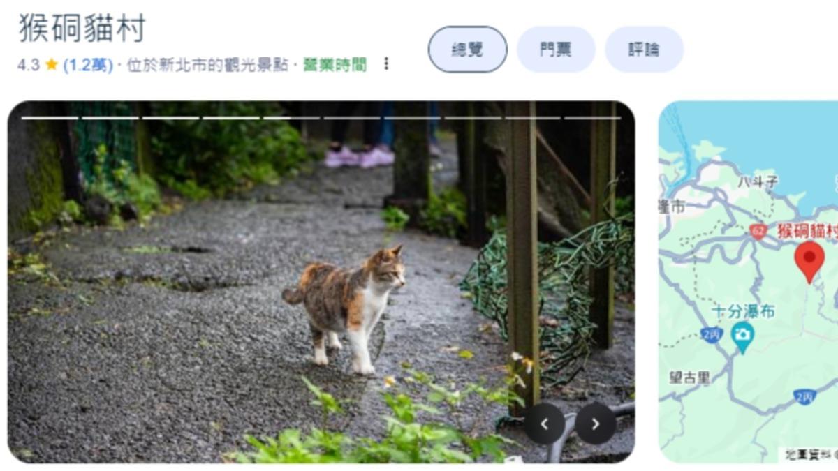 猴硐貓村在Google評論上擁有4.3顆星的高評價。(圖/翻攝自Google評論)