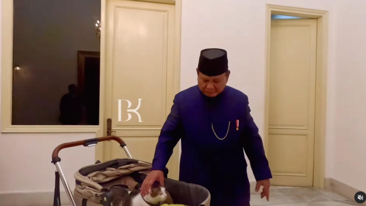 印尼新總統蘇比安托輕輕地撫摸著愛貓鮑比。（圖／翻攝自 IG bobbykertanegara）