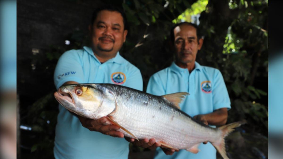 以為滅絕!「幽靈魚」消失20年現蹤 專家驚喜:目擊3次