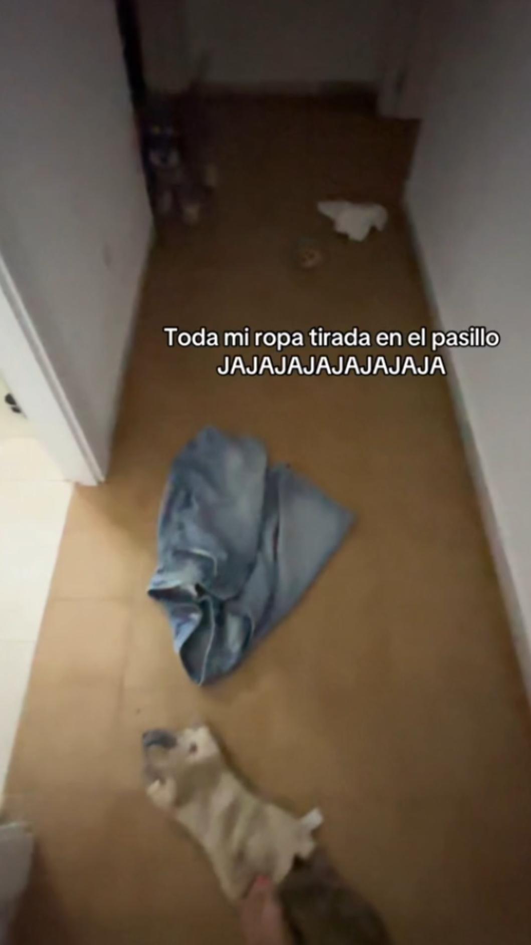 正妹下秒把沾到蟑螂的衣服脫去。(圖/翻攝自elenagonzalezz___Tiktok)