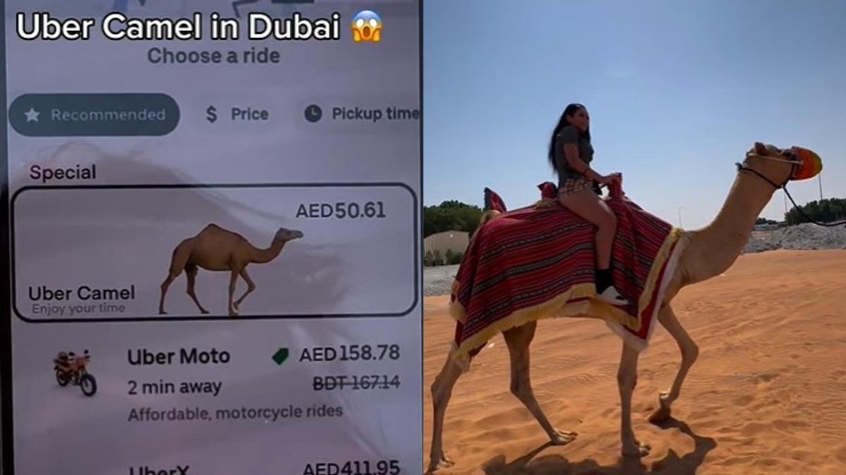 妹子騎上駱駝。（圖／翻攝自IG@jetset.dubai）
