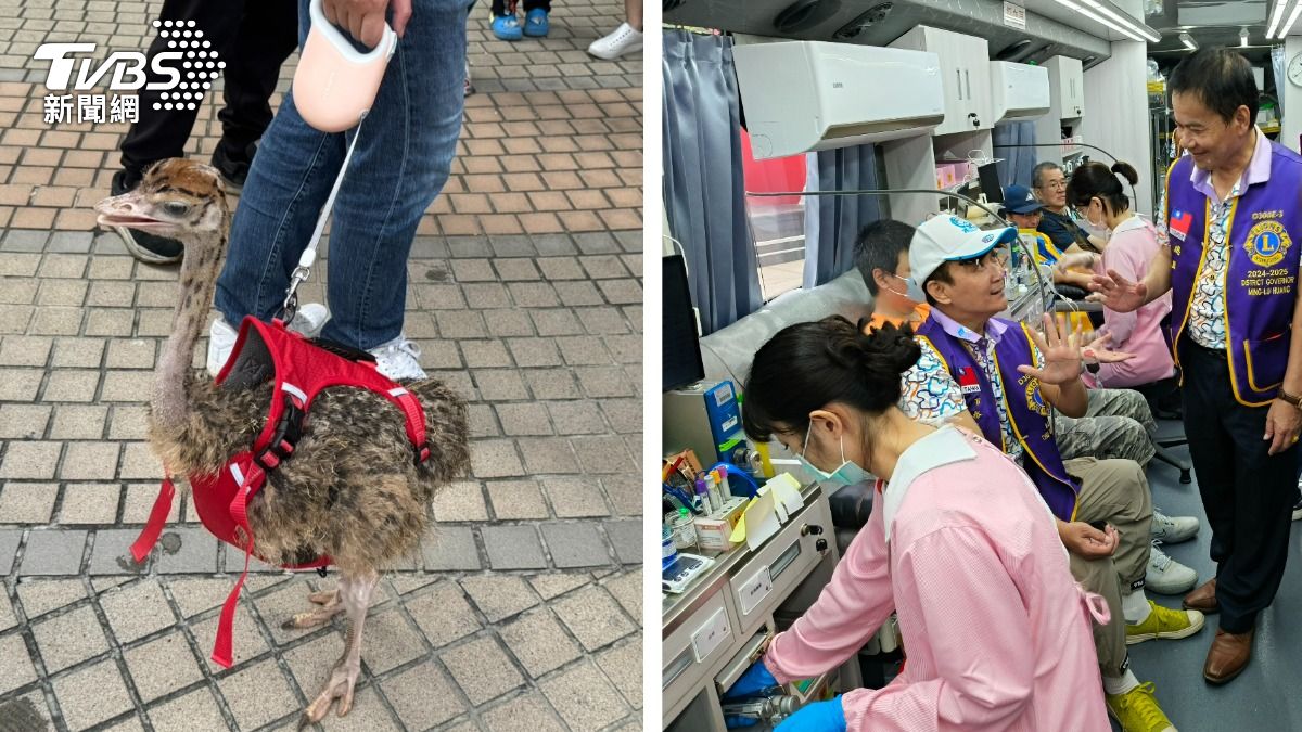 高雄缺血荒O型、A型僅剩6天　超狂飼主捐血「鴕鳥」作陪