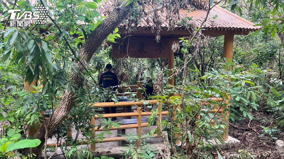49歲男陳屍柴山！失聯2天「低頭盤坐」無動靜　山友嚇壞急報警