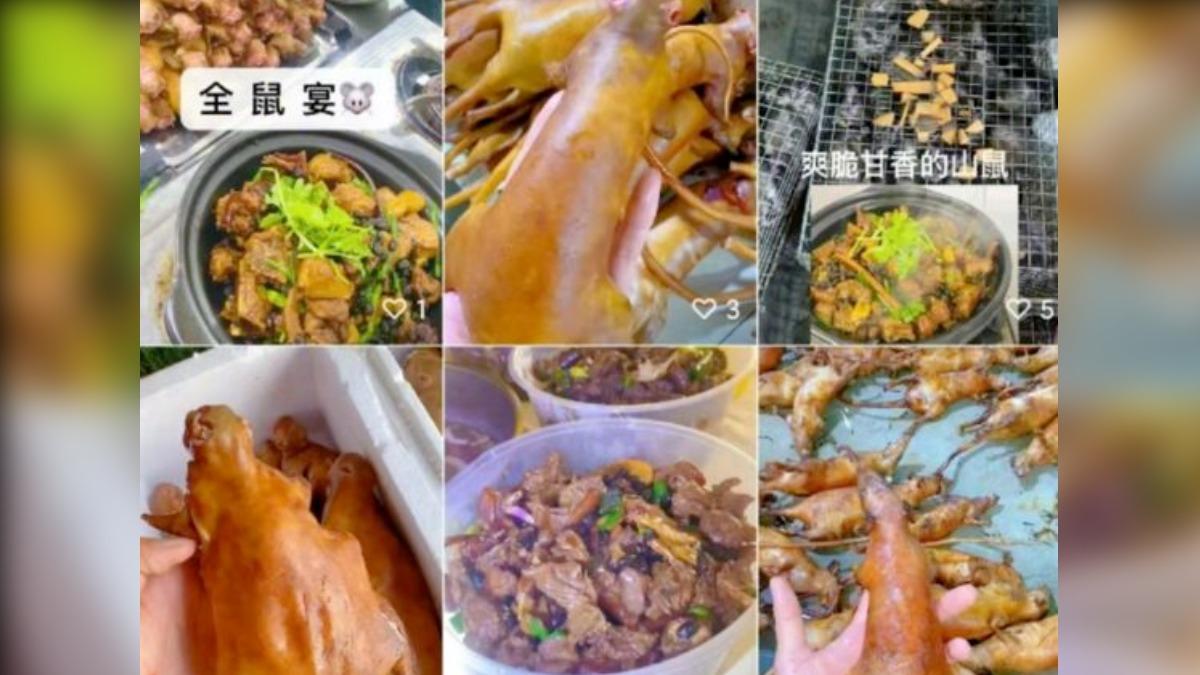 陸抖音出現收購大量活鼠「直播炒肉」　網友憂：早吃下肚